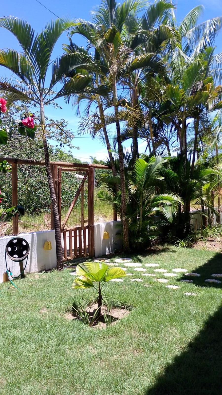 Pousada Eucaliptos Barra Grande  Exterior foto